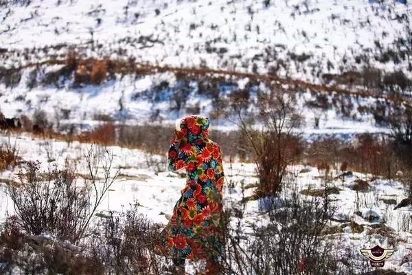 成都鹧鸪山是人造雪吗,西岭雪山和鹧鸪山滑雪哪个好