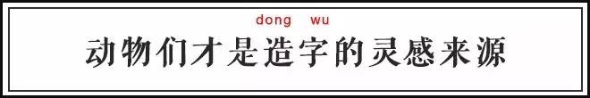 神奇的奇字,网络一些奇形怪状的字