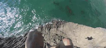 快餐光凭一张照片就能判定你是否*男处**?