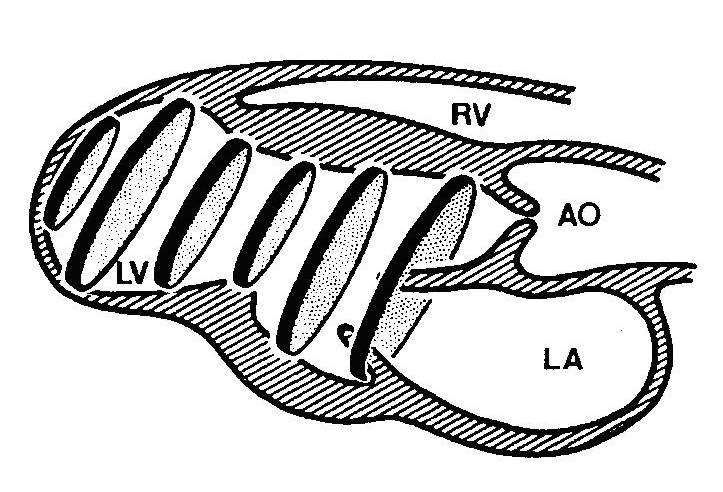 那些年我们错过的歌曲,那些年我们错过的日子