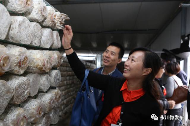 永川变化,重庆市永川区的变化对比图