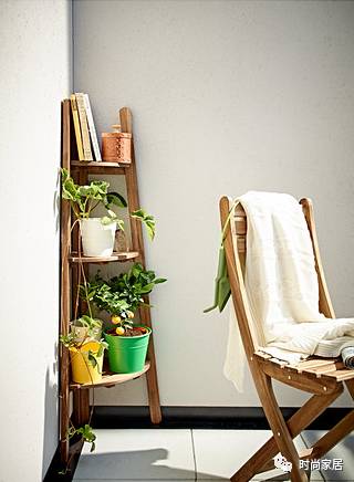 用植物点缀空间，请先抛弃老土花器