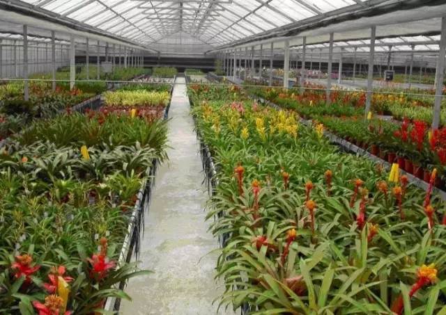 成都年货必备清单一览表,成都年货采购攻略