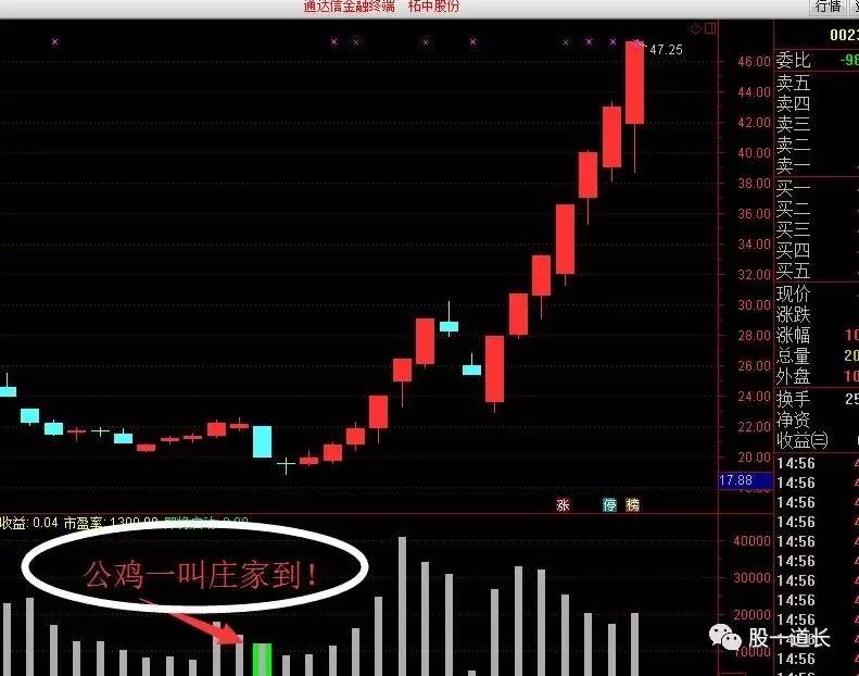 真正的炒股高手不会在网上说话,真正炒股厉害的人