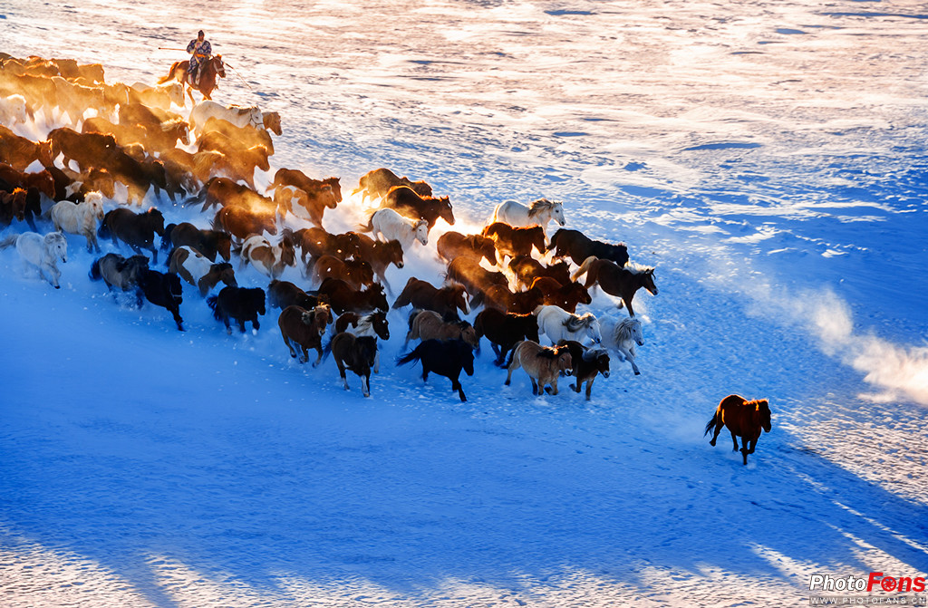 鍐ぉ绛栭┈濂旇吘瑙嗛,鍐棩鑽夊師楠戦┈瑙嗛绛栭┈濂旇吘