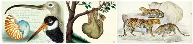 10本推荐的好书学生版,100本爆款书单