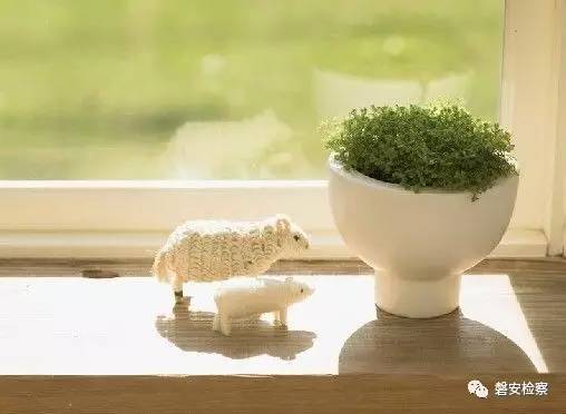 浙江省磐安县公务员遴选,浙江省评选全国人民满意公务员