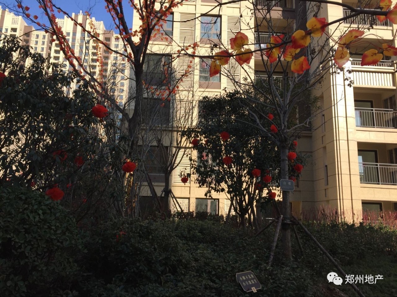 中海验房视频,中海交房验房视频