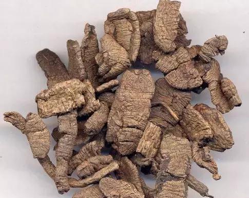 福建汀州土特产,福建零食特产有哪些