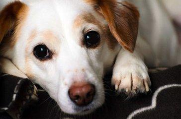 越坐着越困是怎么回事,为什么坐着睡越睡越累