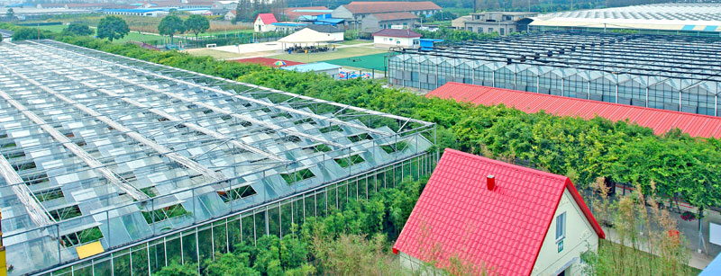 孙桥农业园攻略,孙桥现代农业园