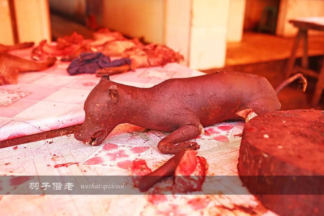 印尼美娜多游玩攻略,美娜多旅行攻略