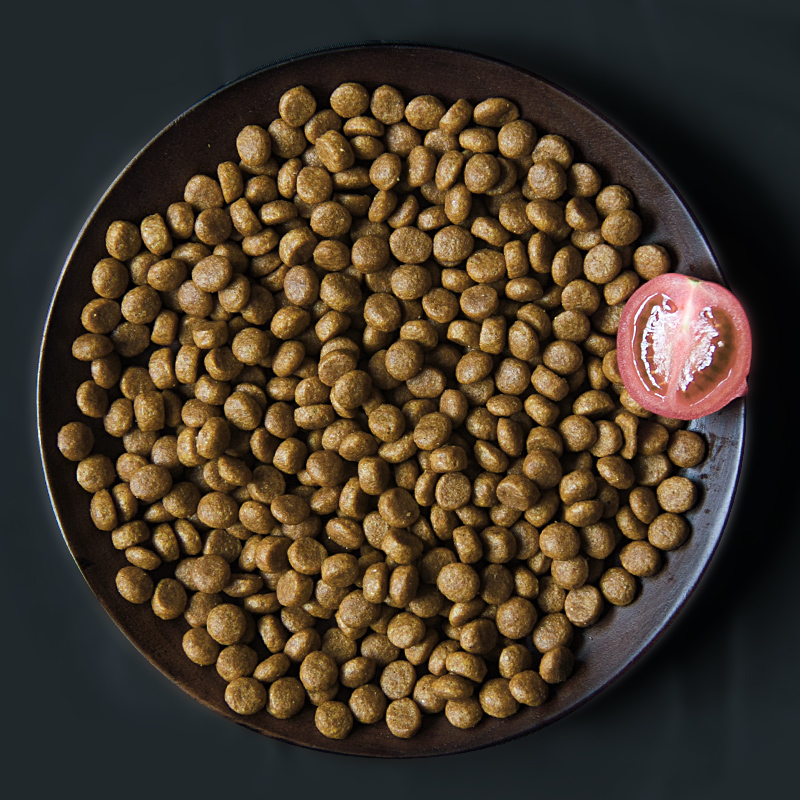 了解这几点帮助你的狗狗提亮毛发,狗狗的毛发干燥没光泽