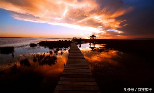 四川省最大的草原若尔盖