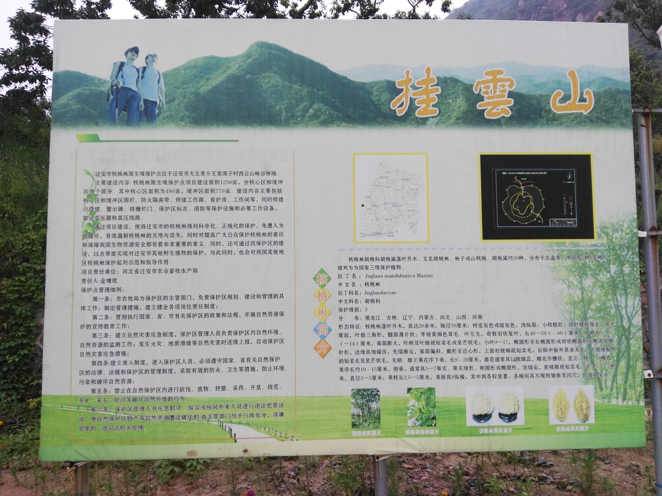 农村木材加工行业挣钱门路,现在什么行业最挣钱适合农村的