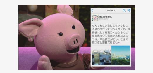 淘宝白富美,淘宝网红店揭秘