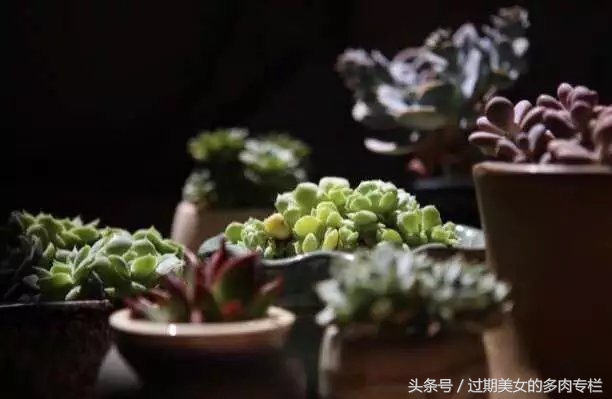 入坑一年小说,入坑一年