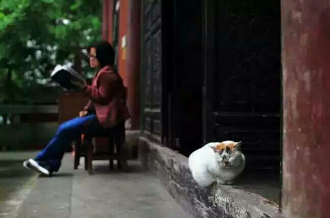 看完这些摄影作品点评，你的摄影技能会有大幅提升