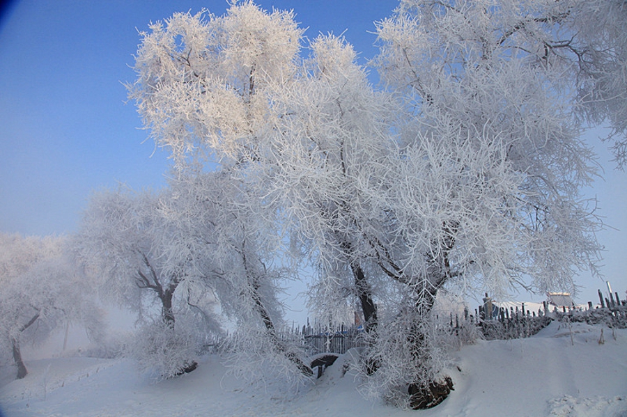 吉林雾凇岛的好看的雾凇倒影图片,吉林雾凇岛和雪谷雾凇岭
