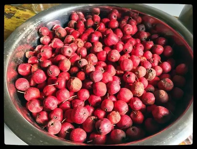 当我第一次带姥爷去旅行,跟姥爷来一场说走就走的旅行