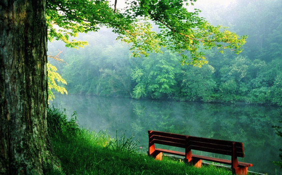 a股最值得抄底的股,一个特征暴露主力要拉升