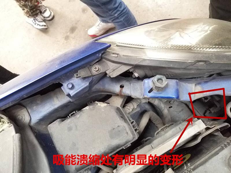 购买几千雨燕,买雨燕被坑