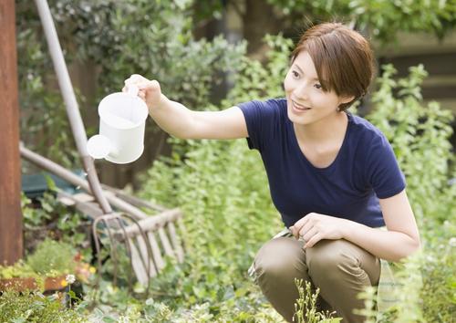 多肉新手必踩十大坑,多肉新手入坑教学视频