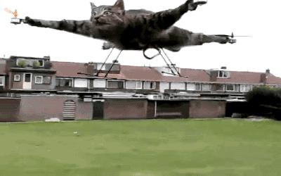 一个少妇想买彩票,请大师帮忙选号。