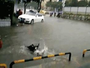 广东地铁老外挑衅被打视频,在地铁上挑衅老外