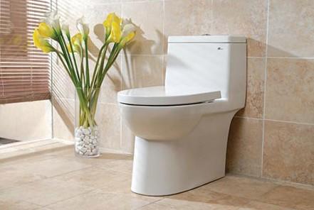 马桶水封较低是什么原因,马桶内水位线比以前低了