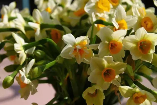 福建汀州土特产,福建零食特产有哪些