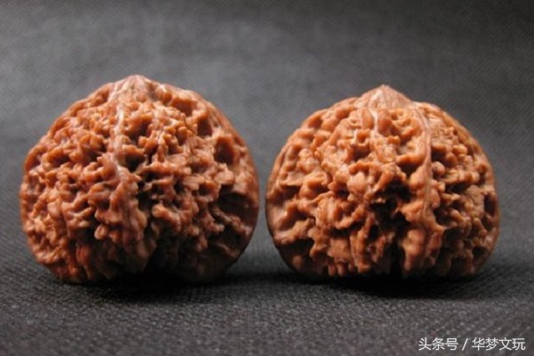 魂牵梦绕的意思解释,魂牵梦绕下一句怎么接