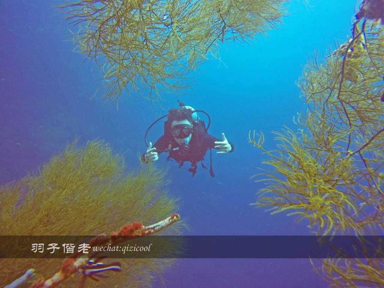 美娜多海岛一日游,印尼美娜多跟团游