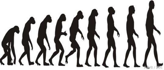 生娃的心酸历历在目,为啥一般夜晚生娃