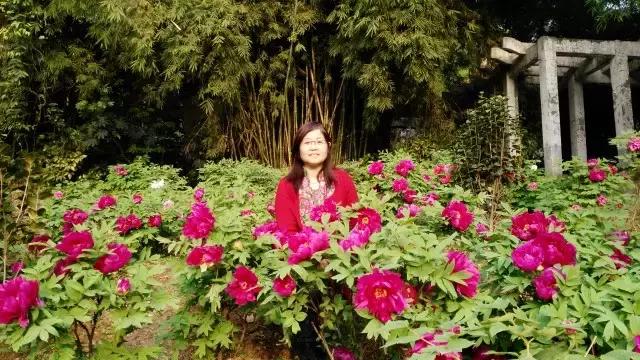 宁波正高级教师名单,宁波最新高级教师公示