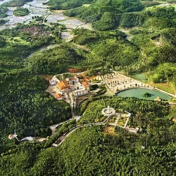 大江阳d区,大江阳