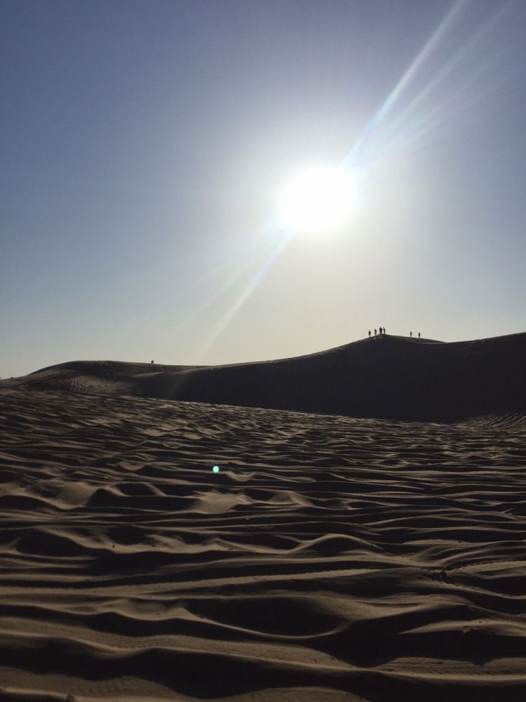 我爱远方风景,我爱远方和自由