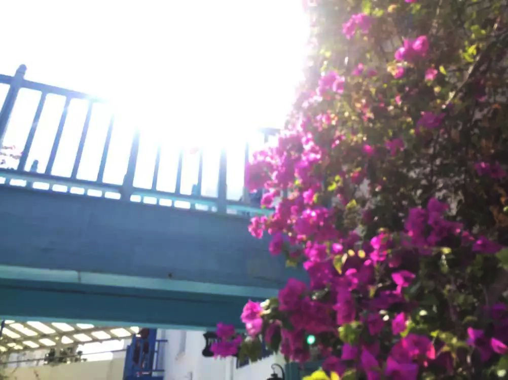 泰国曼谷芭提雅华欣7天自由行 (泰国华欣与芭提雅是一个地方吗)