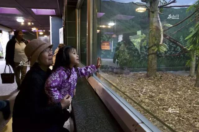 希拉里移民了吗,希拉里移民后的现状