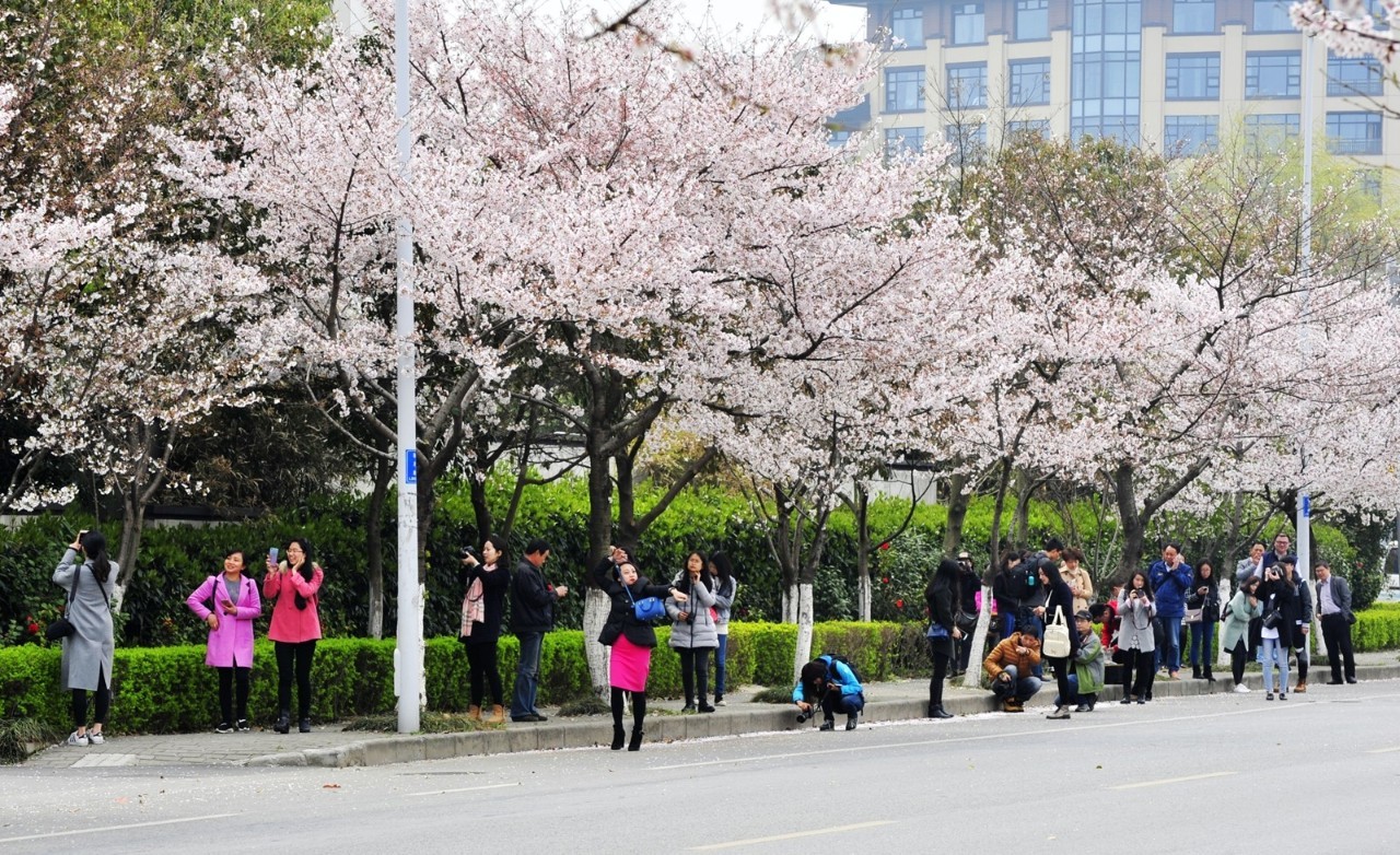 同力同行，点赞无锡！2016，我们一起走过……