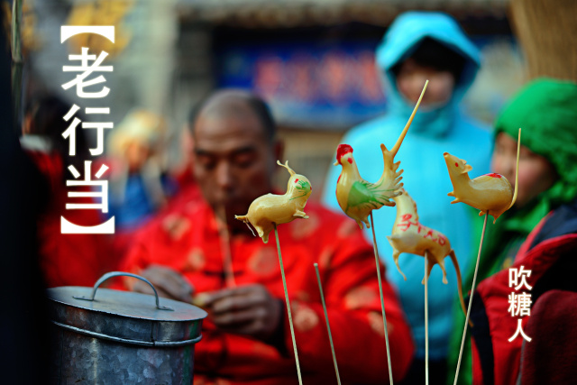 深圳春节花市主会场,逛深圳迎春花市