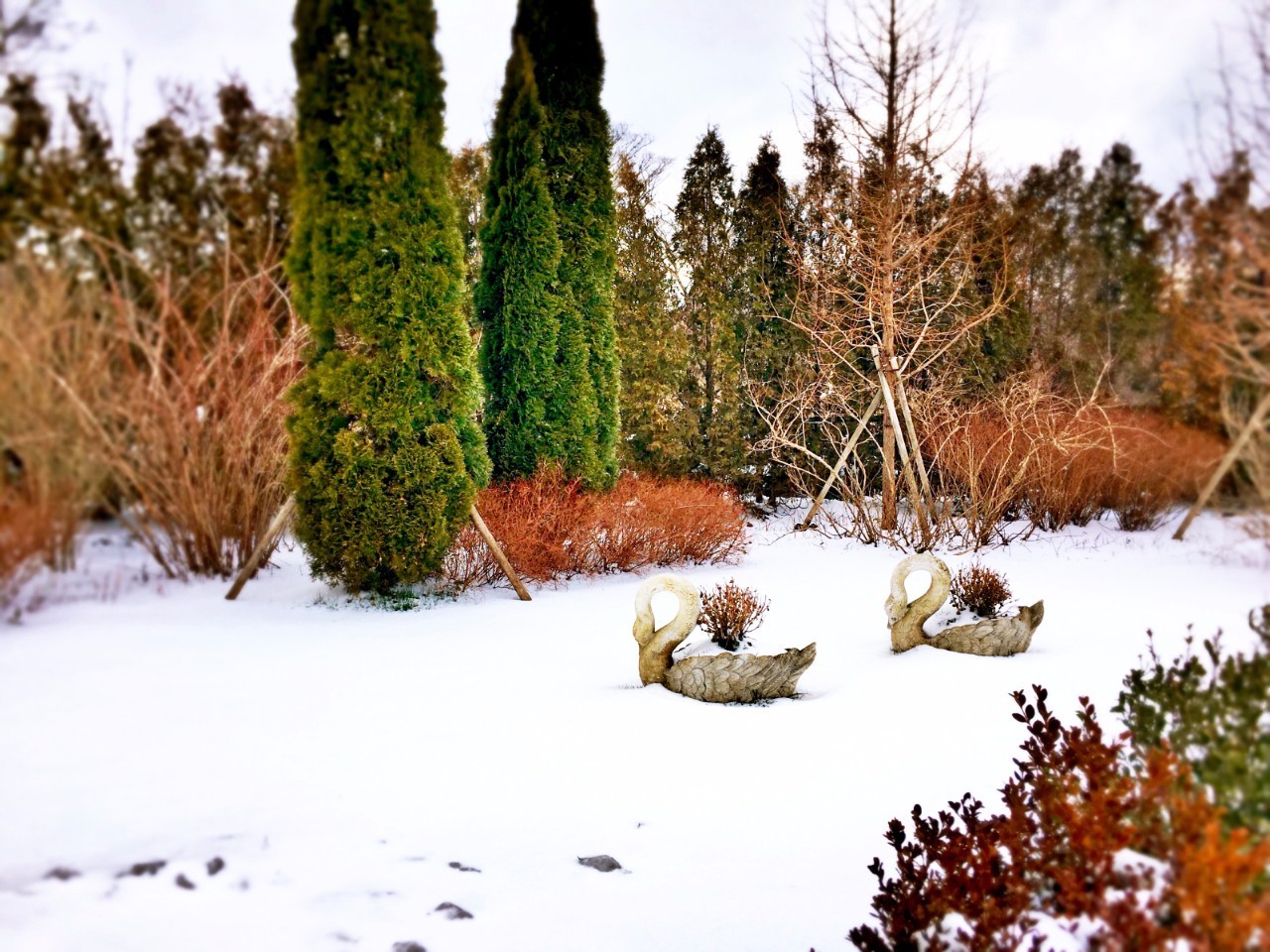 网红景点与网红店，就是济州岛正确的打开方式｜攻略