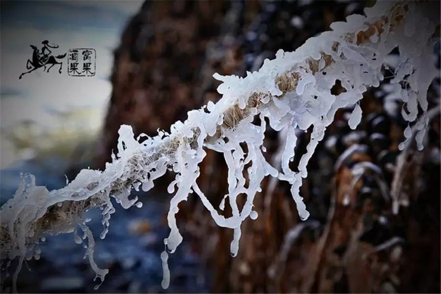 大连冬季小众景点有哪些,大连冬季必去景点推荐攻略