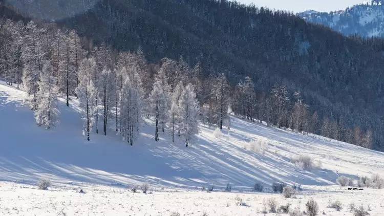 最新喀纳斯禾木视频,新疆喀纳斯禾木冬天视频