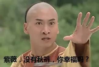 沙洋天气冷热,沙洋2月3日的天气