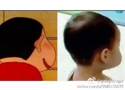 太搞笑了的图片,太搞笑了配图