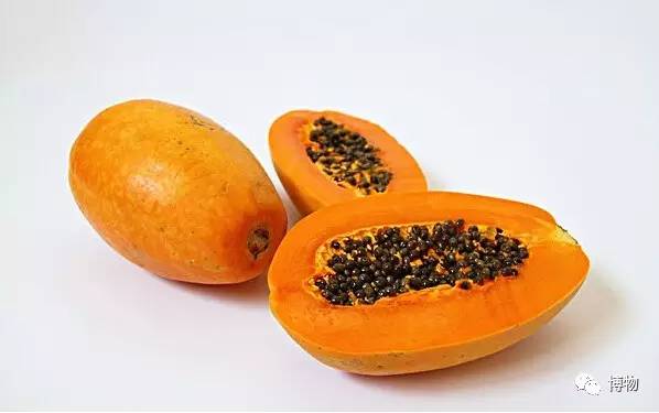 假木瓜可以吃吗,每天一个新鲜熟木瓜吃了好吗