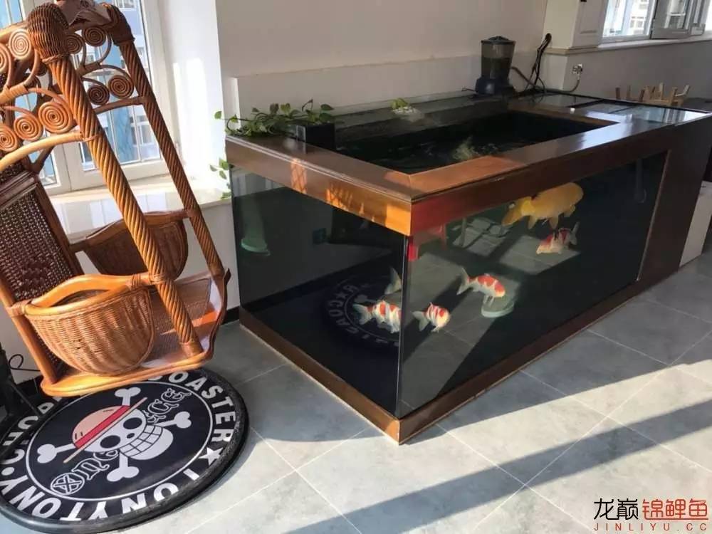 地缸里面漂浮的粉末怎么解决,粘的地缸怎么干得快