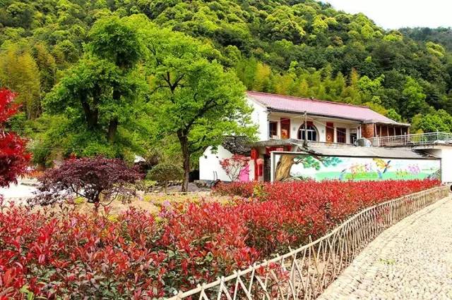 浙江小众乡村景点,江浙沪风景好的山野居住地