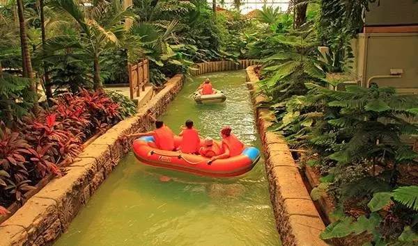 属鸡的人，去这些地方都免费了……